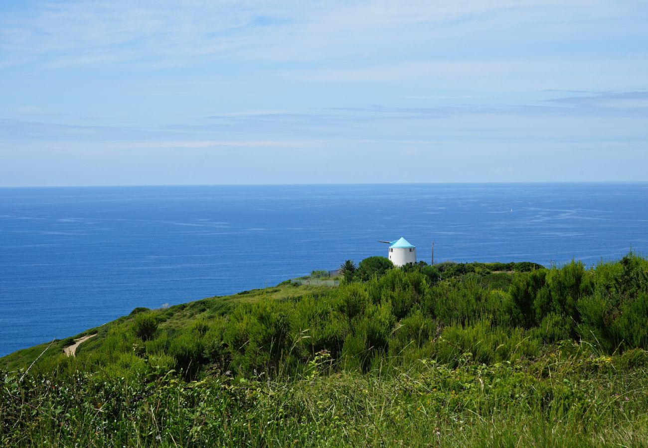 Villa a Famalicão - Casa Berlenga - Villa de Férias com Piscina Privada e Vista para o Mar By SCH